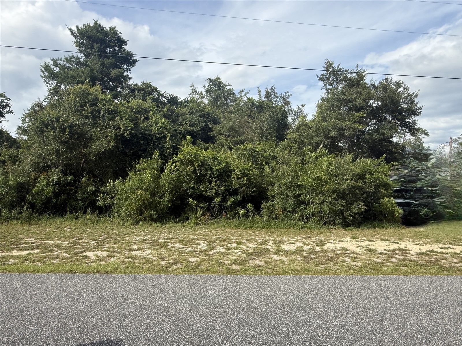 TBD SW 165th Street Road Ocala FL 34473 O6417891 image2
