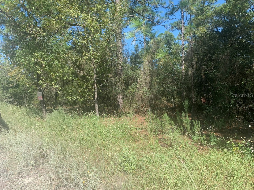 TBD SW 167th Avenue Ocala FL 34481 OM665181 image1