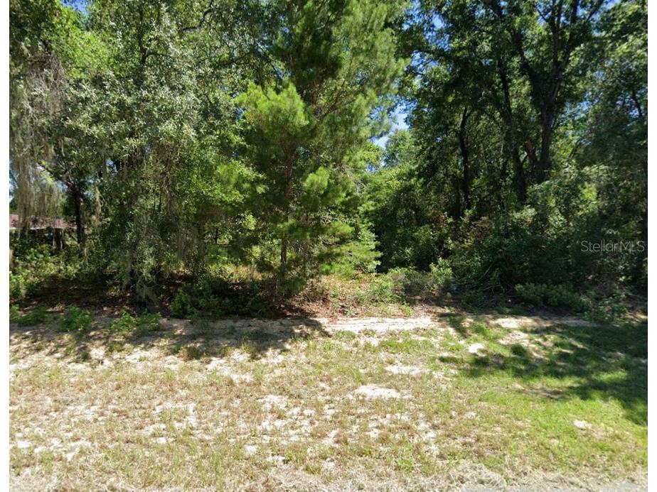 TBD SW 167th Place Ocala FL 34473 C7487438 image1