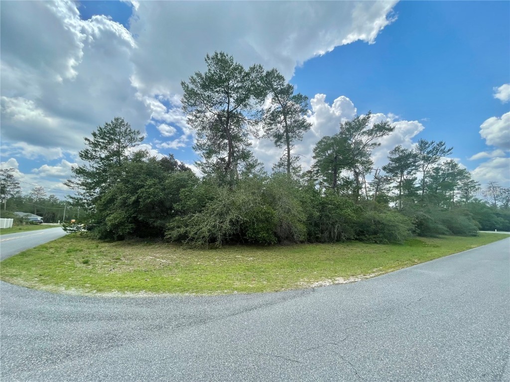 TBD SW 168th Loop #LOT 1 Ocala FL 34473 OM658203 image1