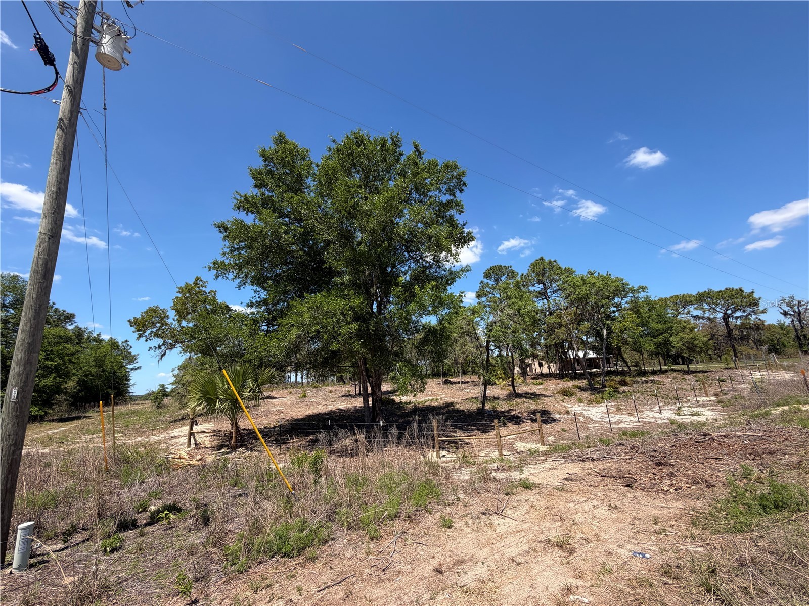 TBD SW 169th Court #18 Ocala FL 34481 OM722805 image2