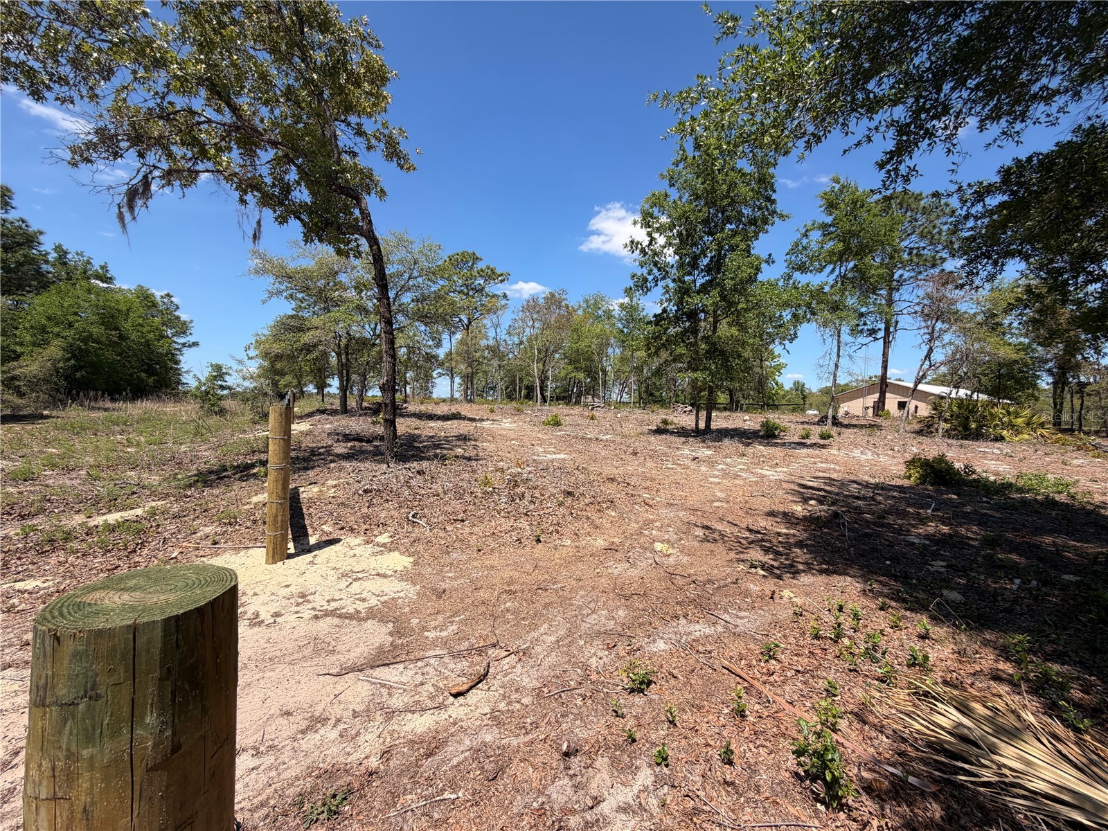 TBD SW 169th Court #18 Ocala FL 34481 OM722805 image4