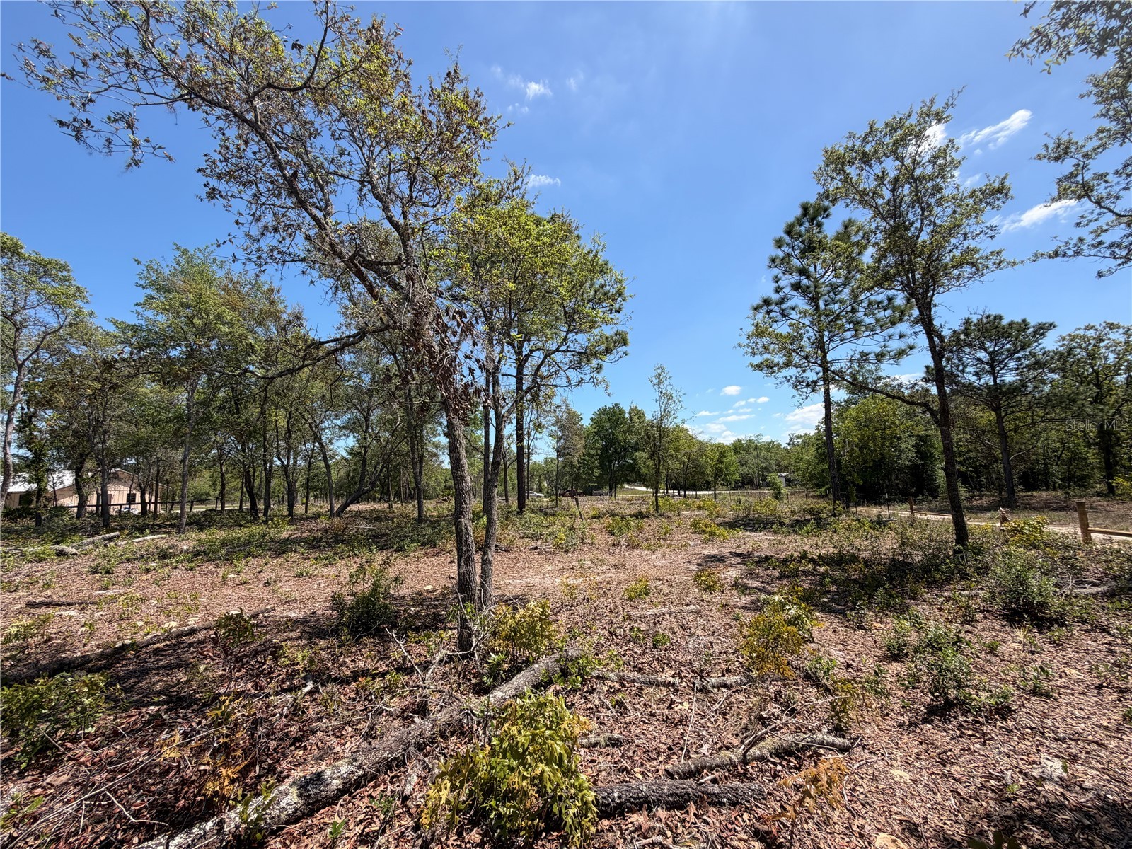 TBD SW 169th Court #18 Ocala FL 34481 OM722805 image5