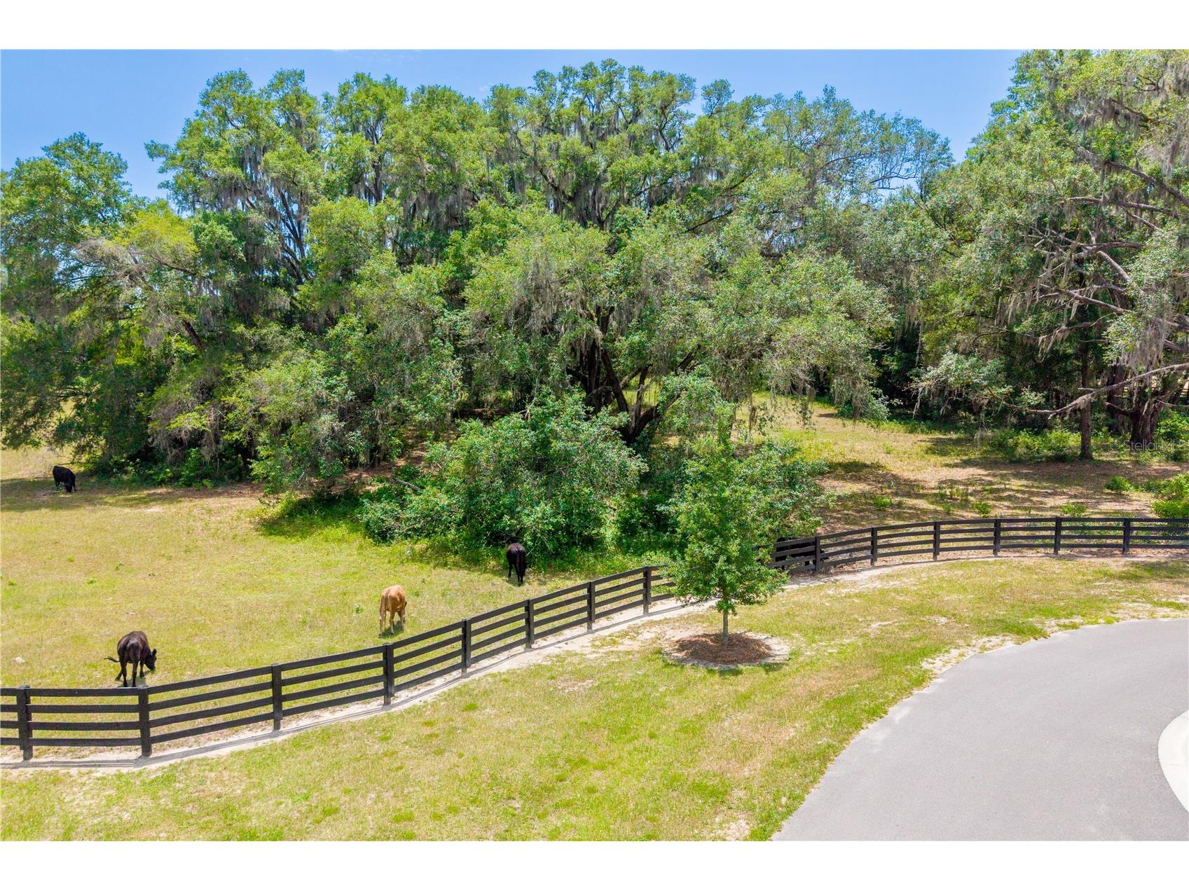 TBD SW 170th Street Newberry FL 32669 GC540222 image21