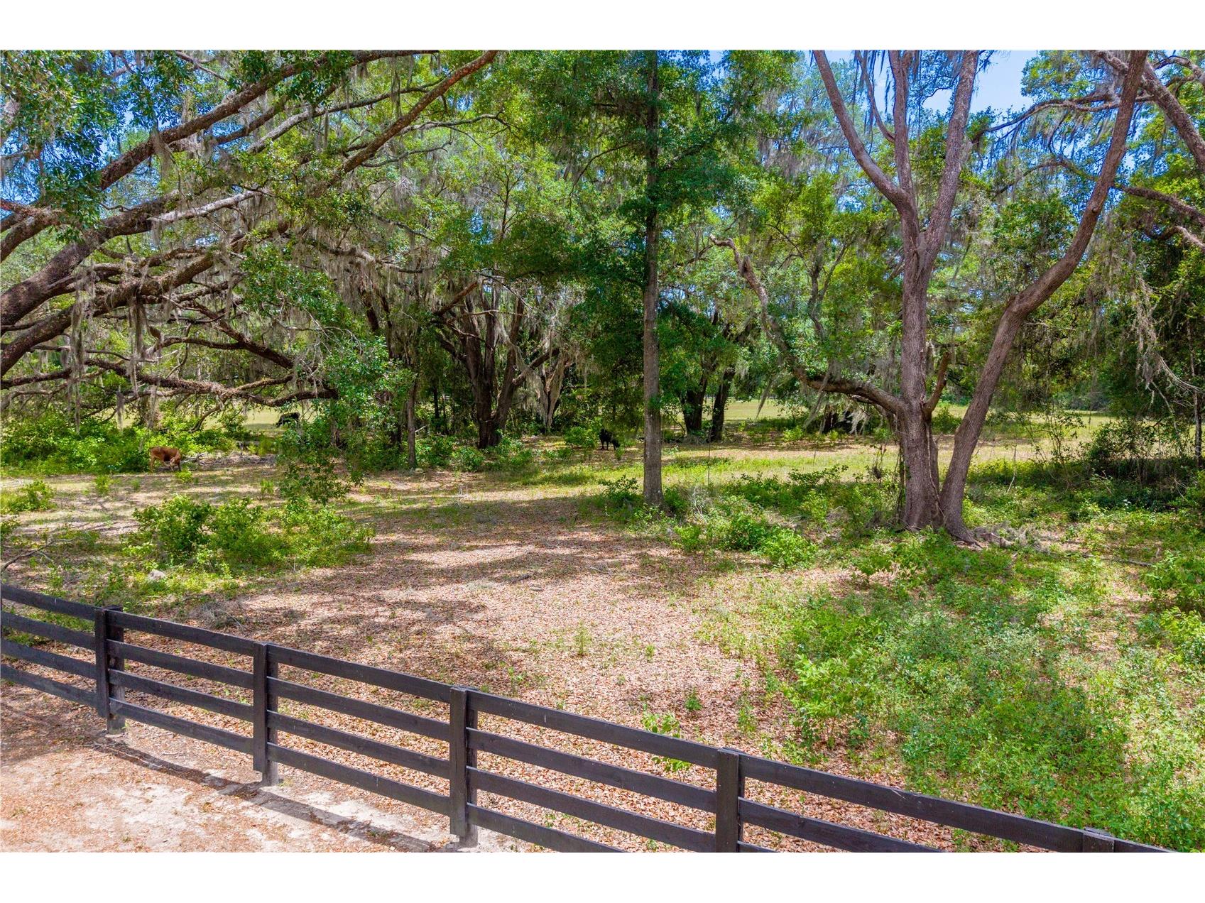 TBD SW 170th Street Newberry FL 32669 GC540222 image25