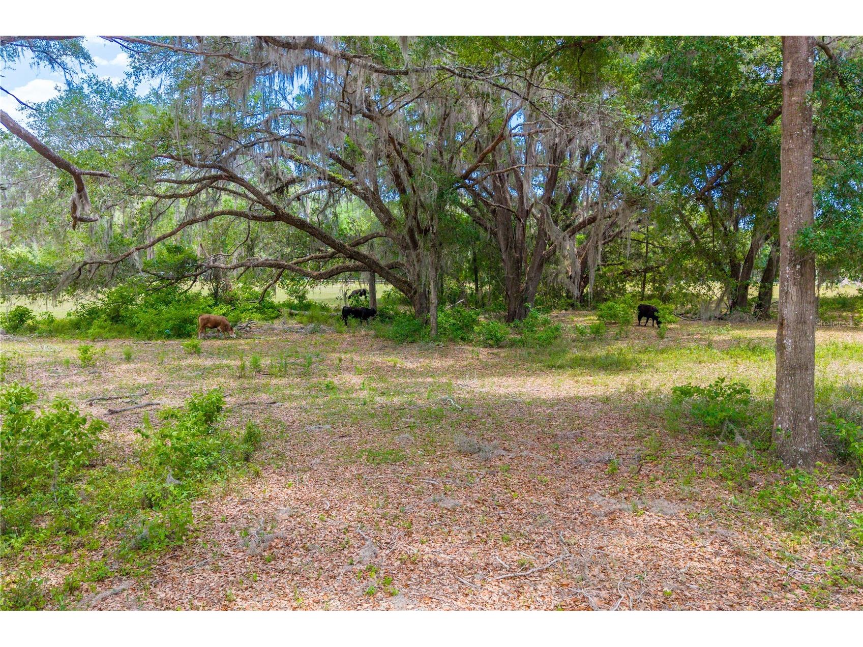 TBD SW 170th Street Newberry FL 32669 GC540222 image28