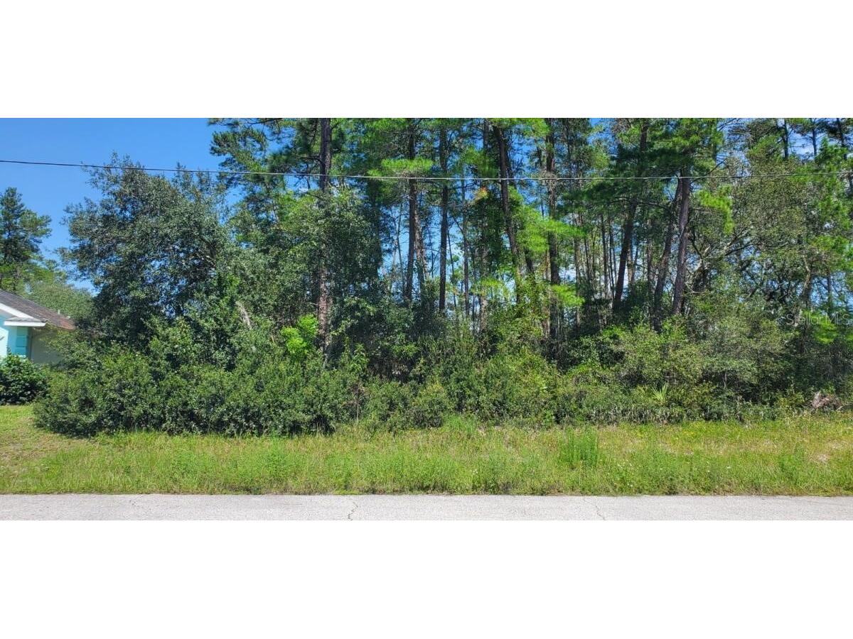 TBD SW 171 Place Ocala FL 34471 O6161473 image1