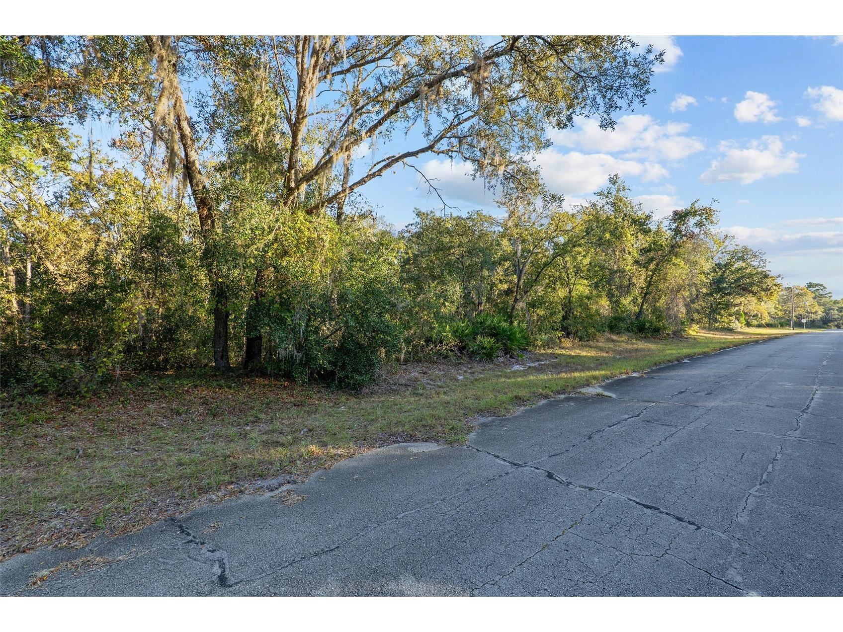 TBD SW 174 Place Ocala FL 34473 OM720795 image1