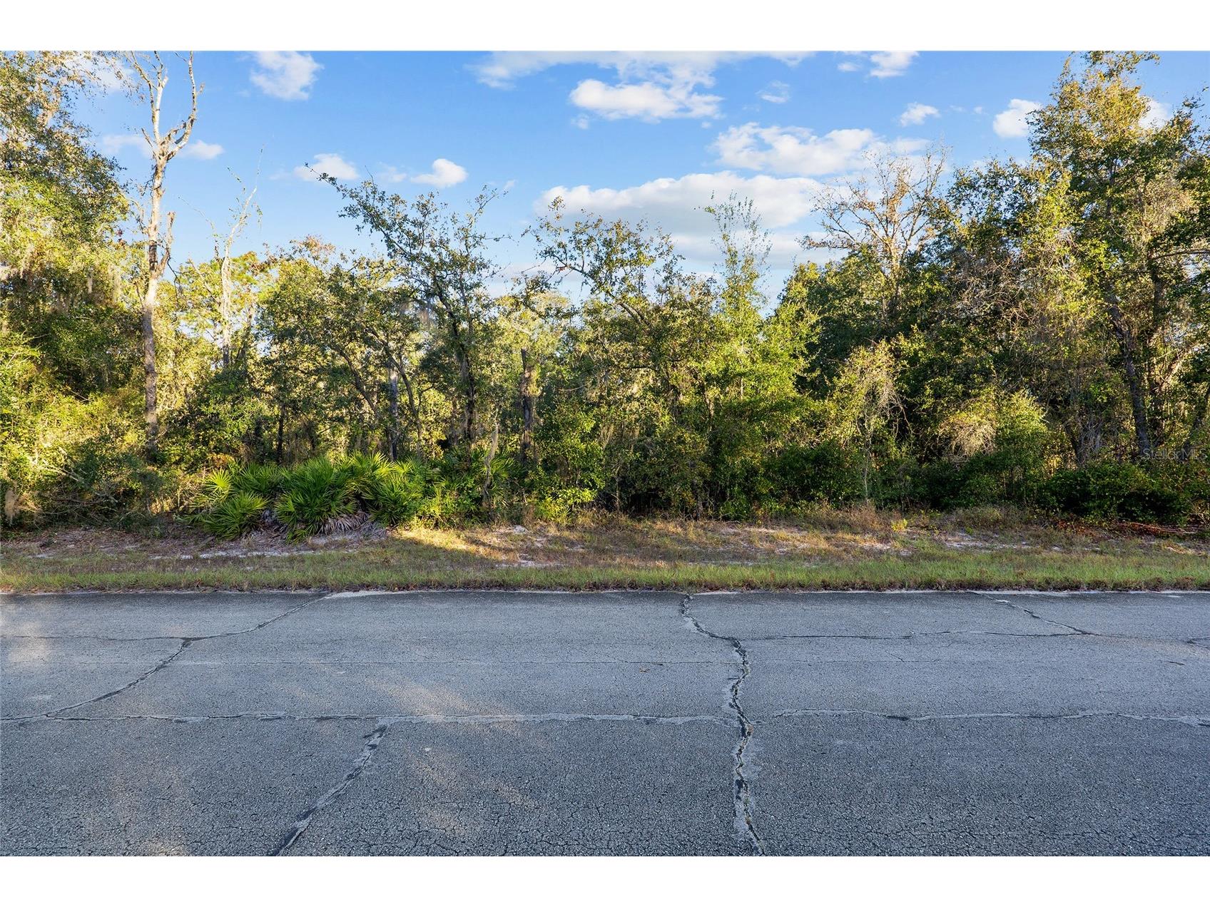 TBD SW 174 Place Ocala FL 34473 OM720795 image2