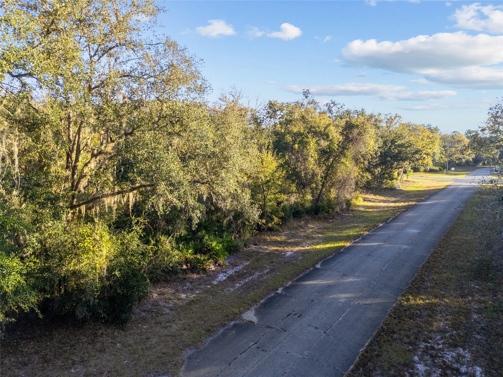 TBD SW 174 Place Ocala FL 34473 OM720795 image3