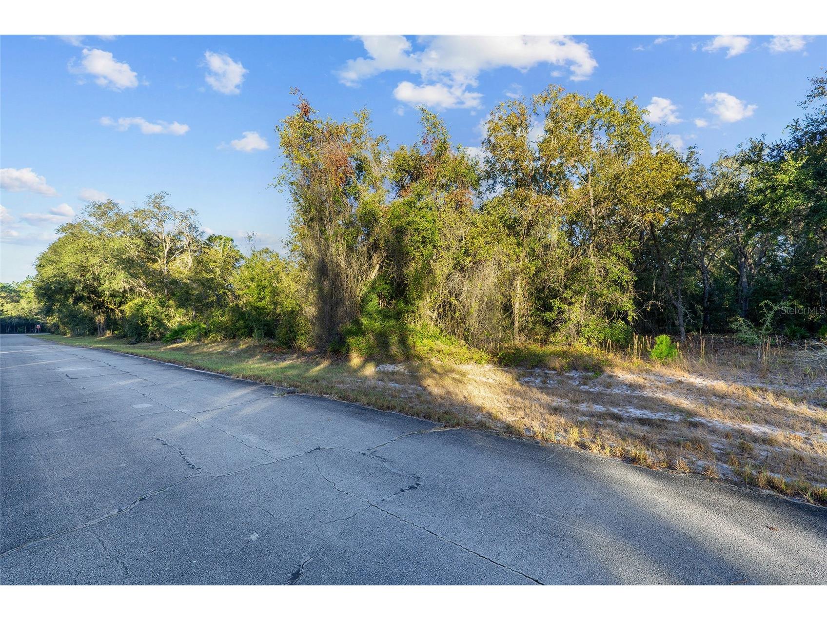 TBD SW 174 Place Ocala FL 34473 OM720795 image5