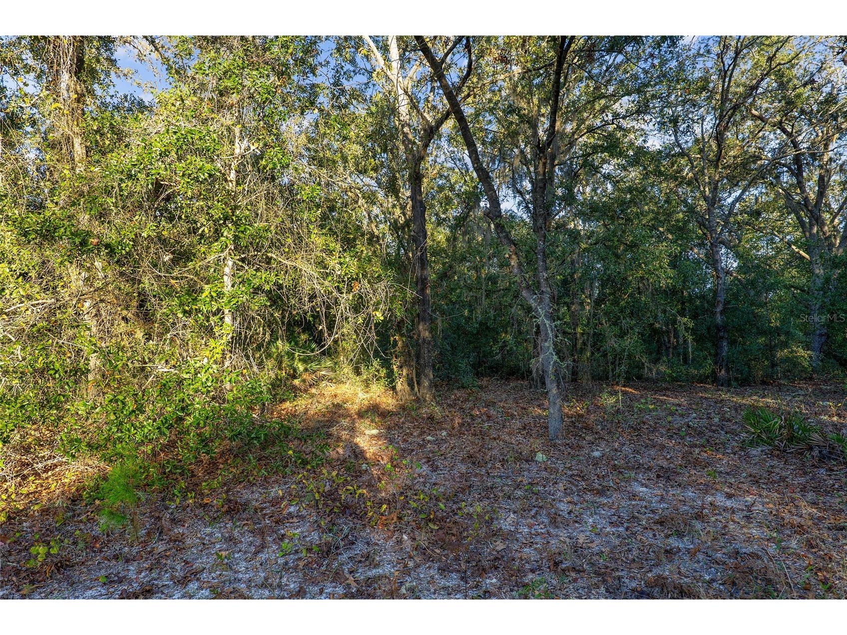 TBD SW 174 Place Ocala FL 34473 OM720795 image6