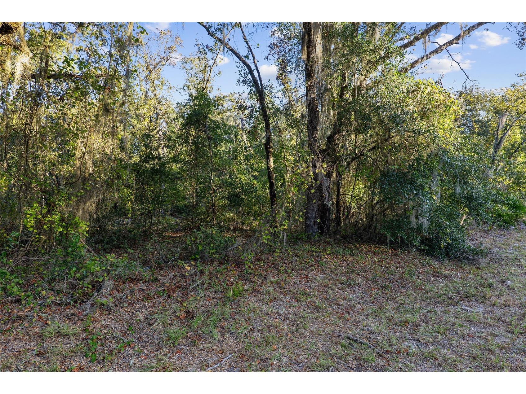 TBD SW 174 Place Ocala FL 34473 OM720795 image7