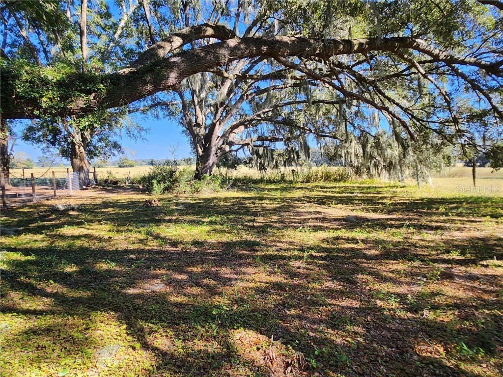 TBD SW 175 Court Dunnellon FL 34432 OM712197 image19