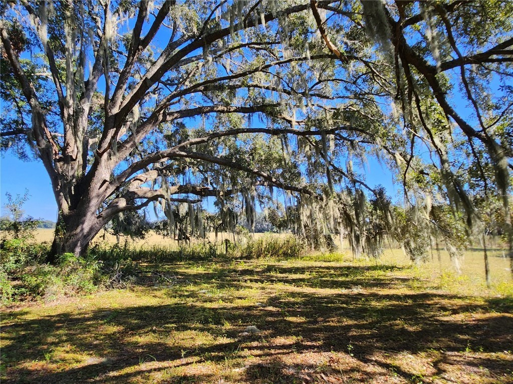 TBD SW 175 Court Dunnellon FL 34432 OM712197 image23