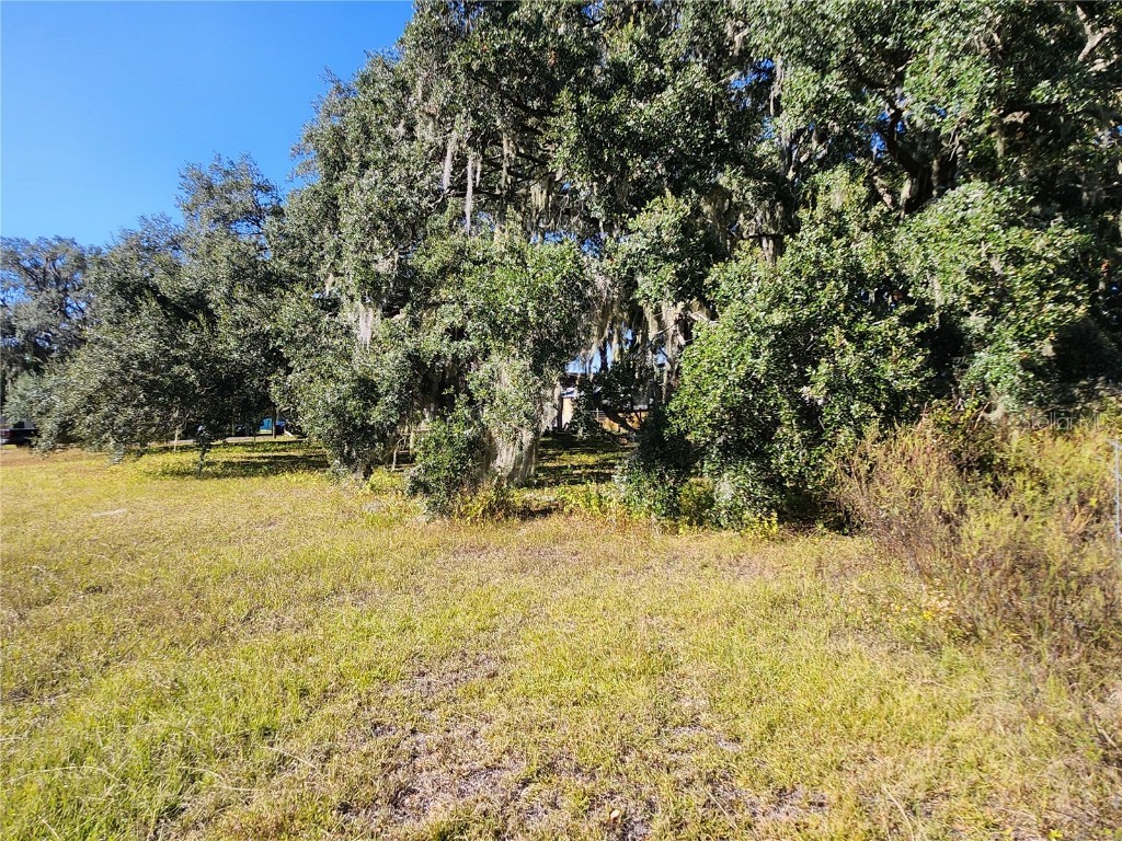 TBD SW 175 Court Dunnellon FL 34432 OM712197 image24