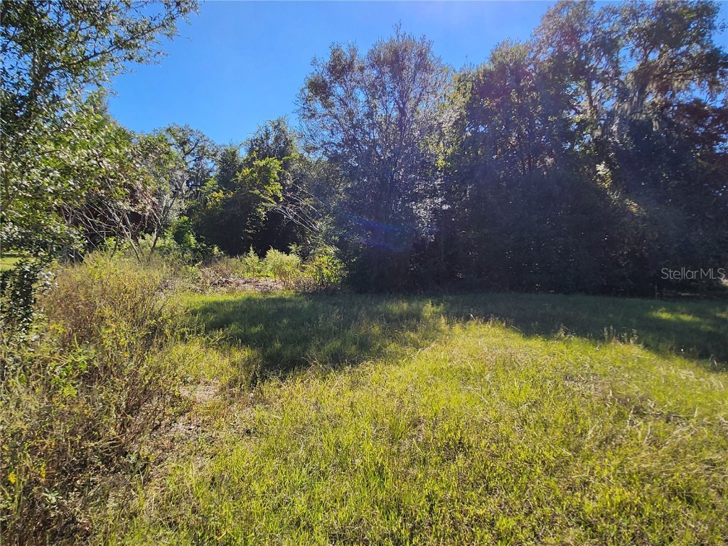 TBD SW 175 Court Dunnellon FL 34432 OM712197 image26