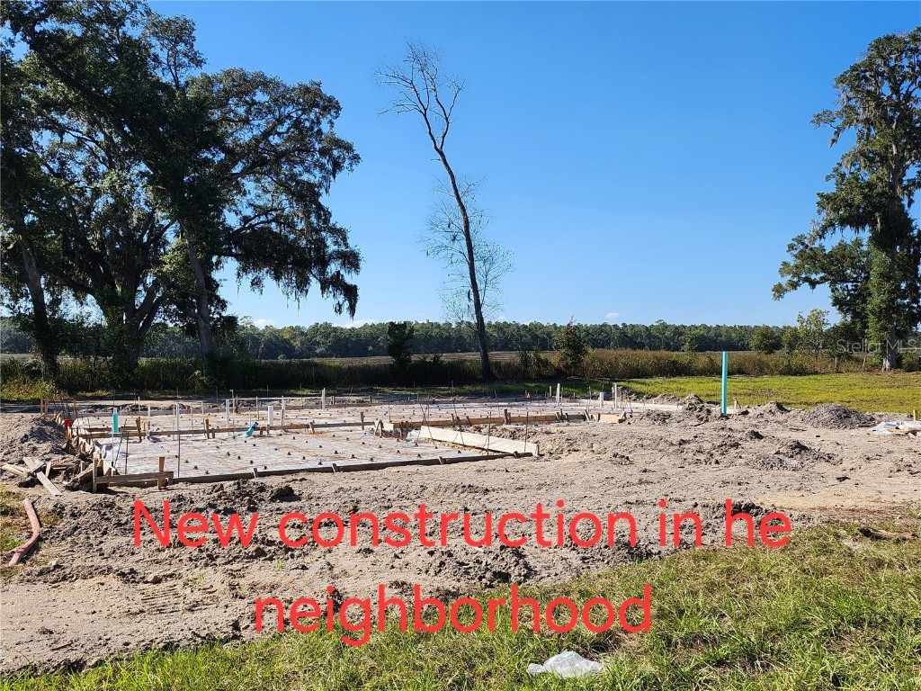 TBD SW 175 Court Dunnellon FL 34432 OM712197 image34