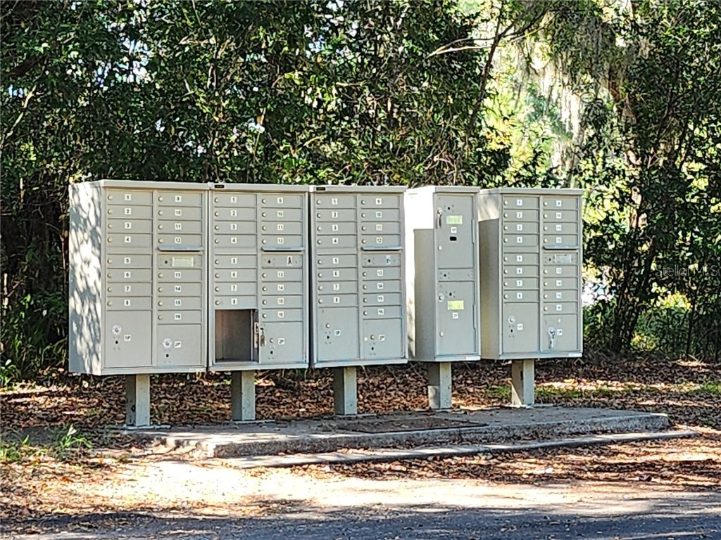 TBD SW 175 Court Dunnellon FL 34432 OM712197 image6