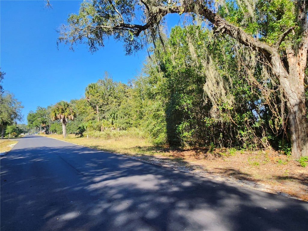 TBD SW 175 Court Dunnellon FL 34432 OM712197 image8