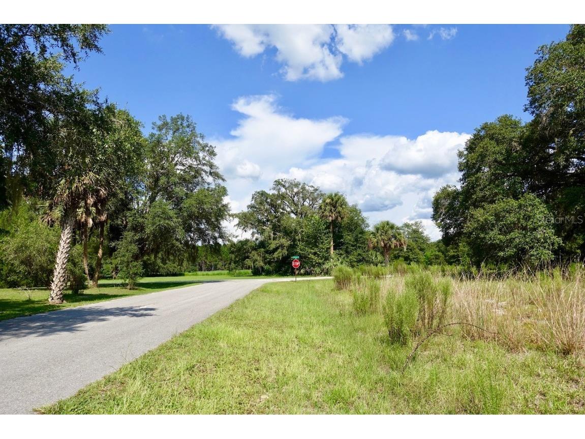 TBD SW 175th Court Dunnellon FL 34432 OM664604 image1