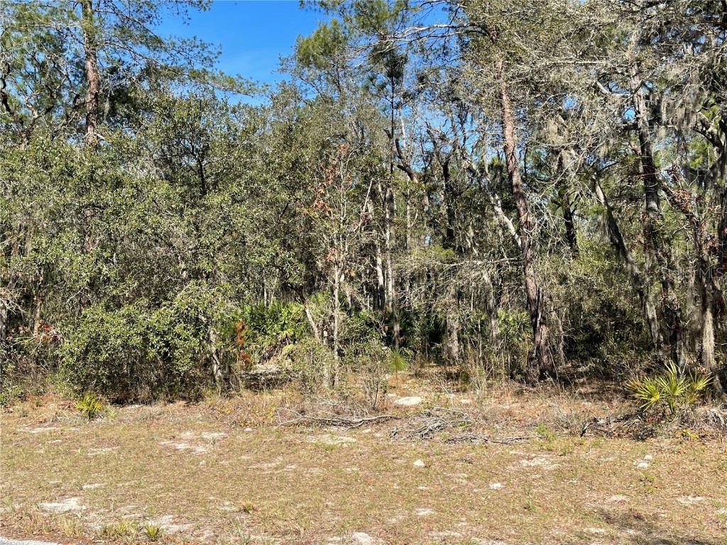 TBD SW 179th Place Ocala FL 34473 OM672312 image1