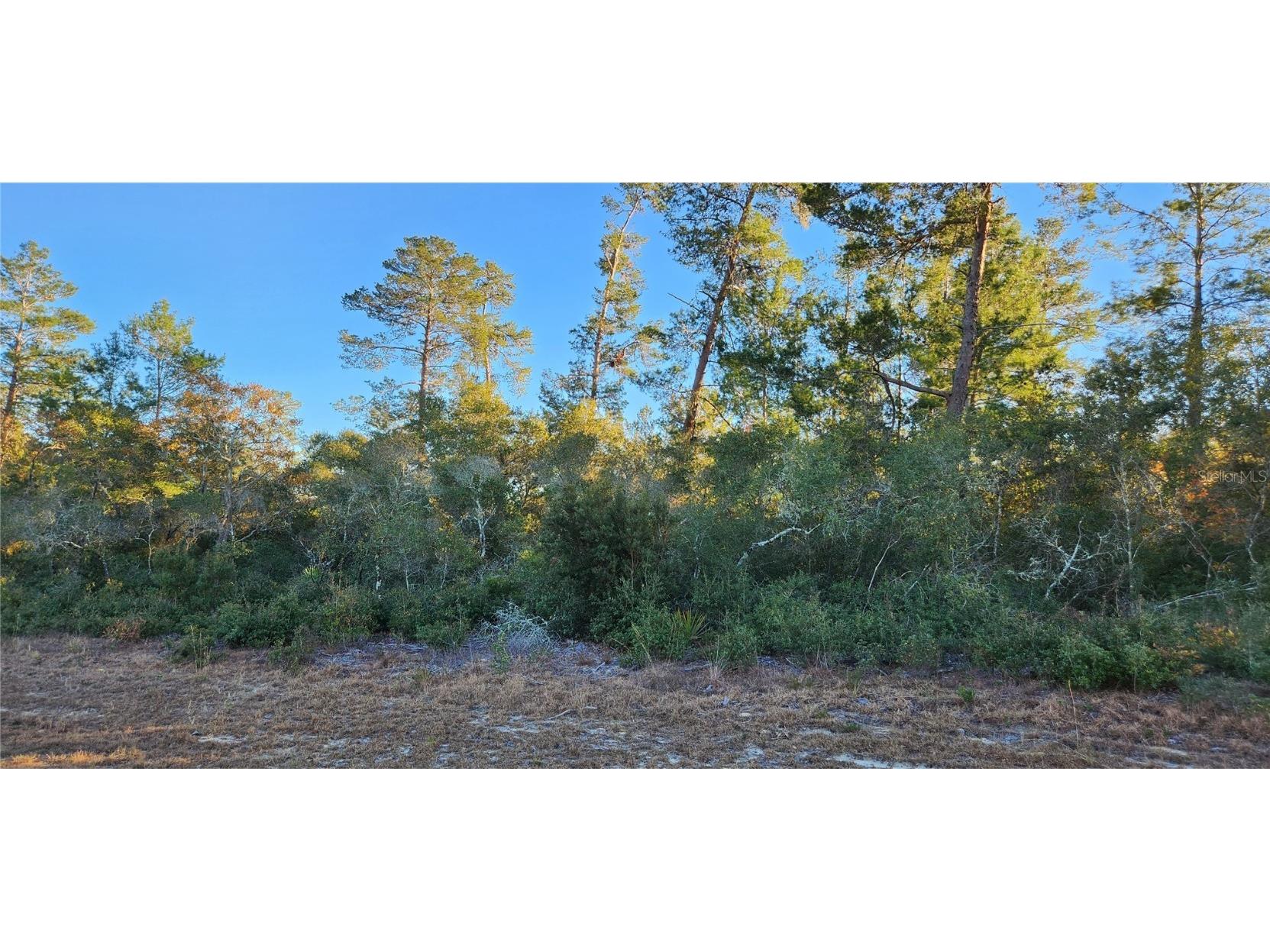 TBD SW 17th Circle Ocala FL 34473 OM651487 image1