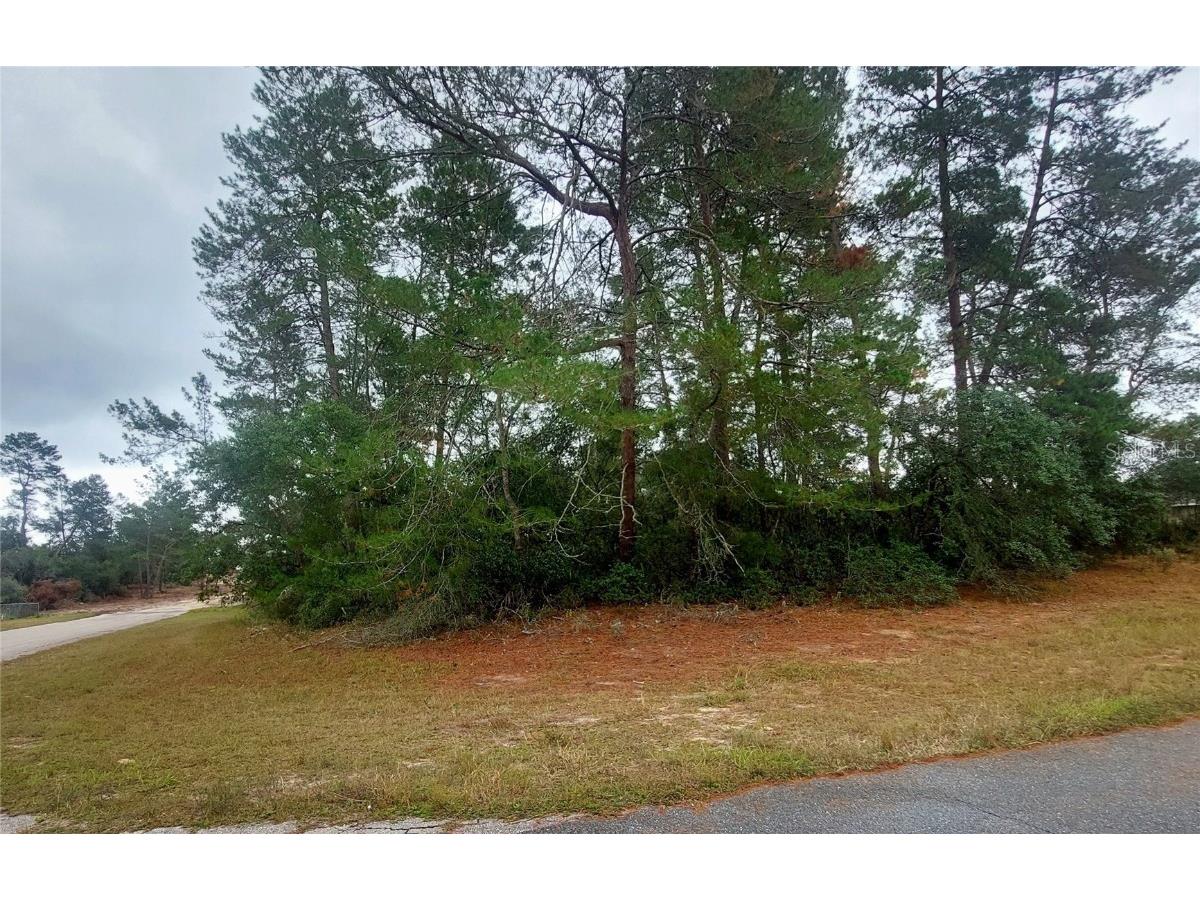 TBD SW 18 Ave Road Ocala FL 34473 OM659211 image1