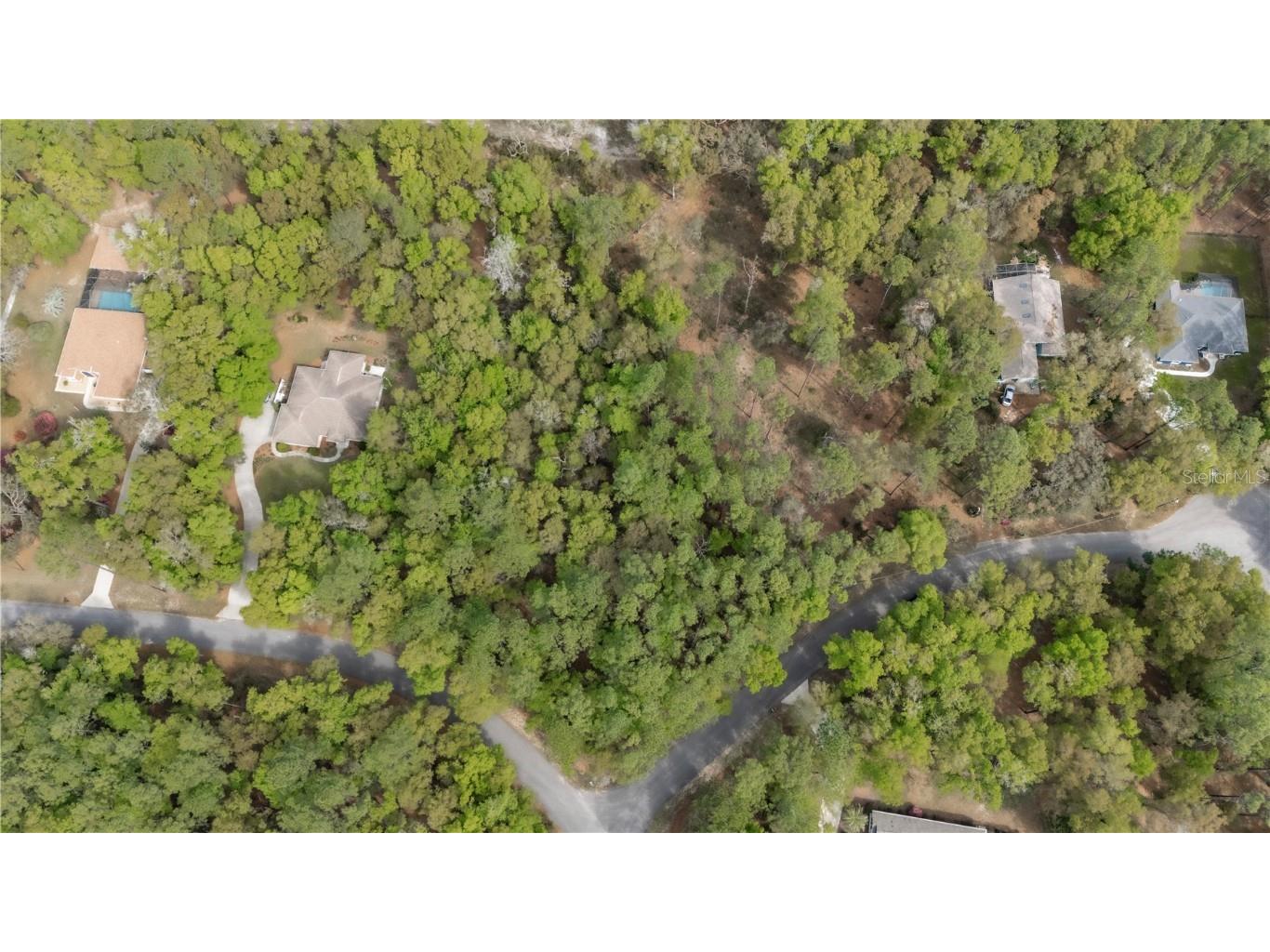 TBD SW 185th Circle Dunnellon FL 34432 OM675026 image1