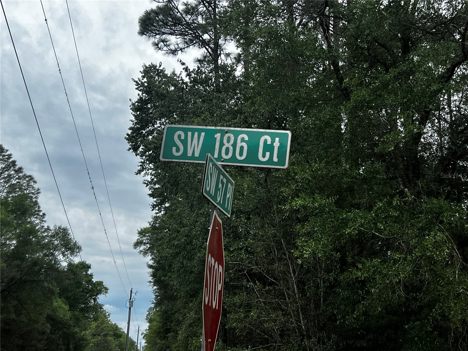 TBD SW 186th Ct. Dunnellon FL 34432 OM724855 image6