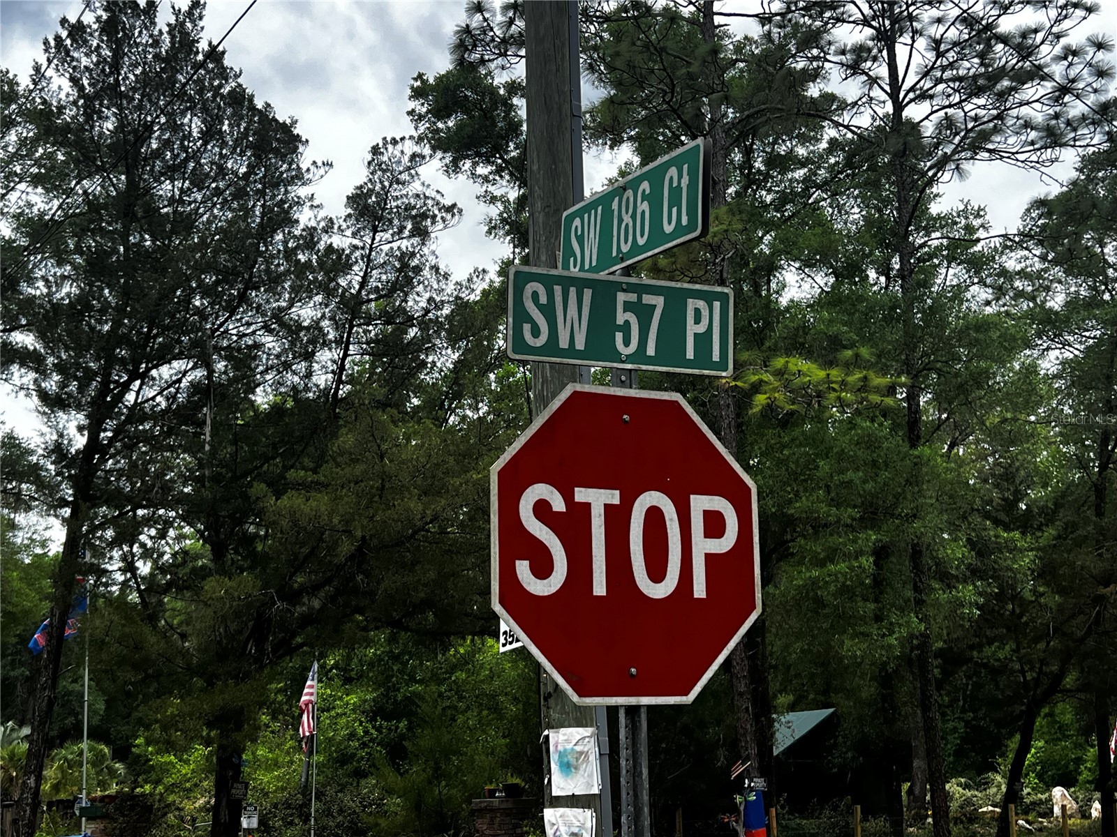 TBD SW 186th Ct. Dunnellon FL 34432 OM724855 image7