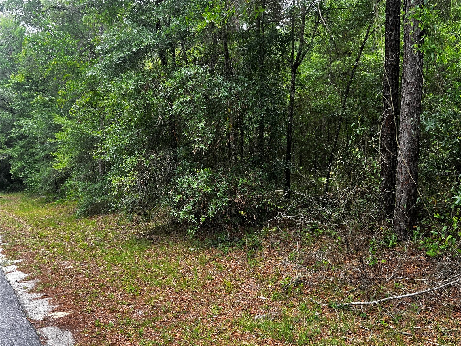 TBD SW 186th Ct. Dunnellon FL 34432 OM724855 image9