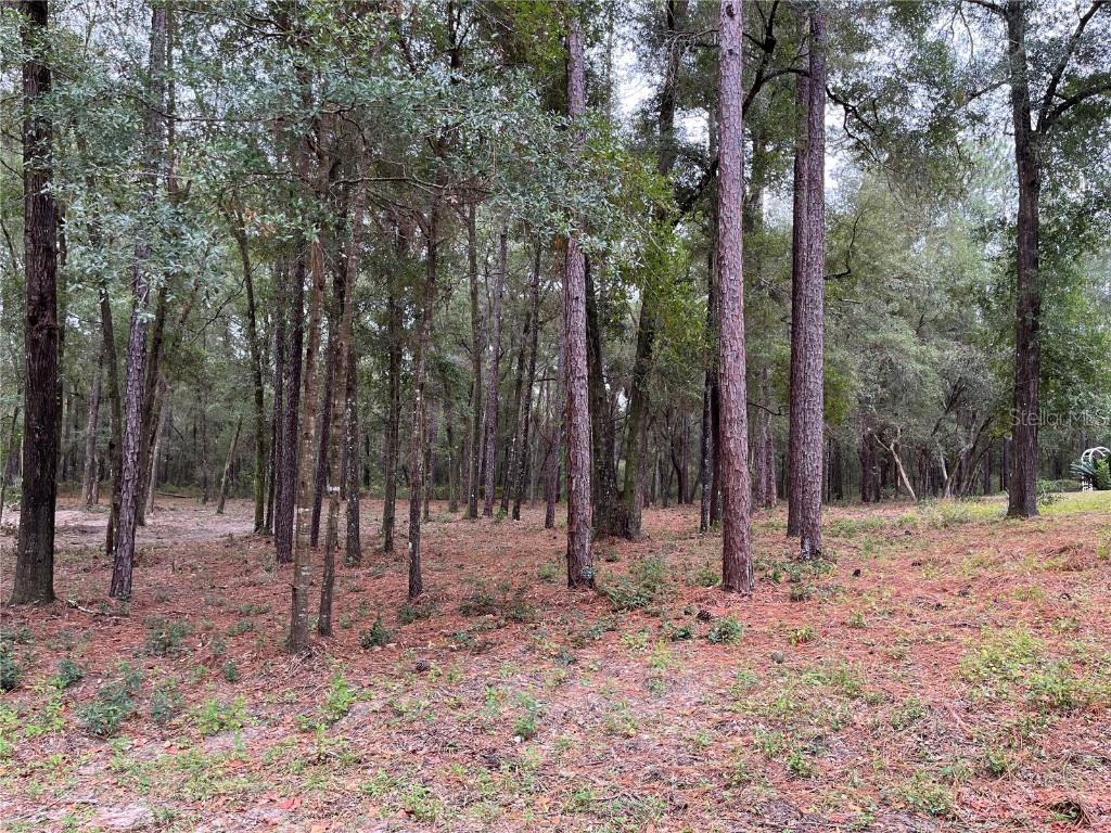 TBD SW 188th Circle Dunnellon FL 34432 - RAINBOW RIVER OM674780 image1