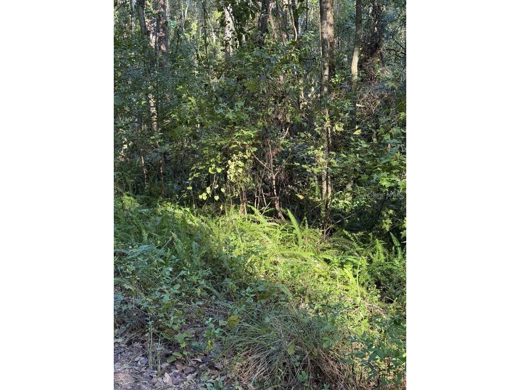 TBD SW 18th Place Ocala FL 34481 OM691153 image1