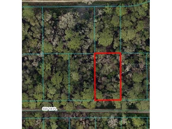 TBD SW 18th Place Ocala FL 34481 OM691153 image2