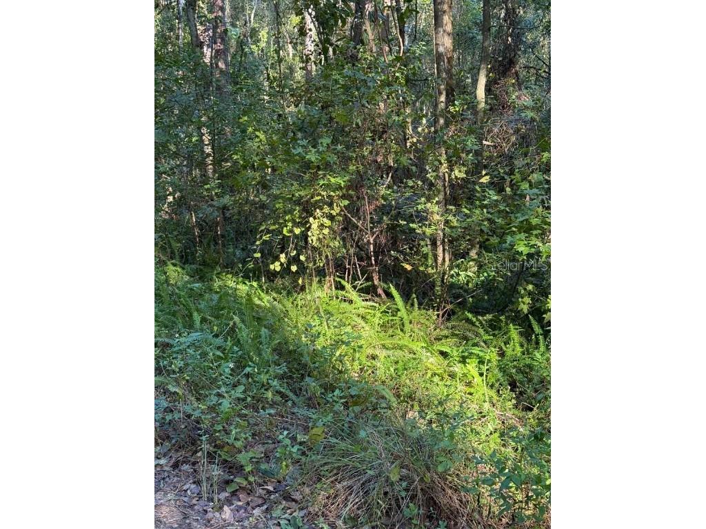 TBD SW 18th Place Ocala FL 34481 OM694863 image1