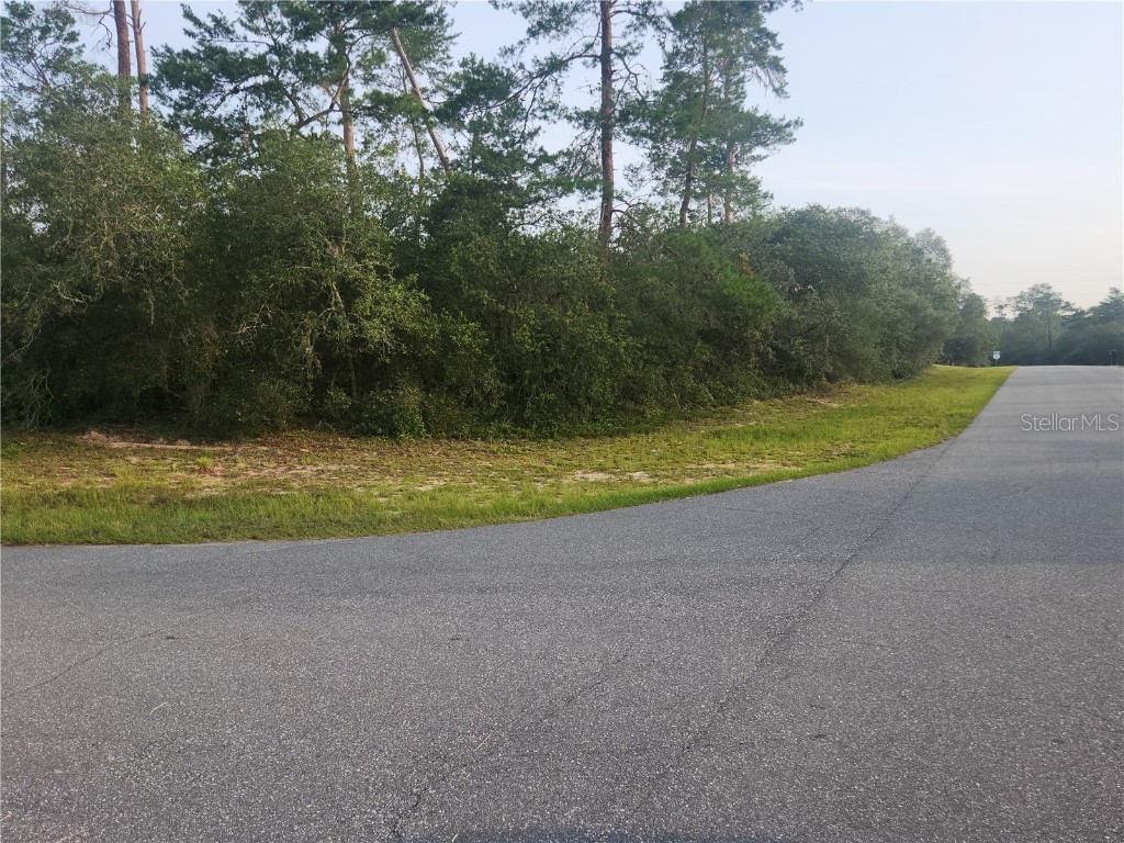TBD Sw 18th St Ocala FL 34473 OM660446 image1