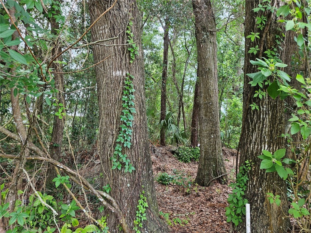 TBD SW 194th Court #LOT 37 Dunnellon FL 34432 OM658643 image1