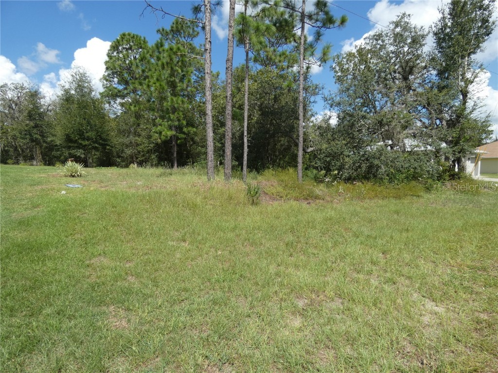 TBD SW 196 Avenue Road Dunnellon FL 34432 - RAINBOW RIVER OM664138 image1