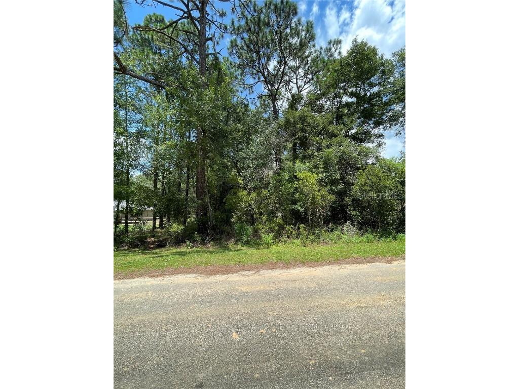 TBD SW 197th Terrace Dunnellon FL 34431 OM652230 image1