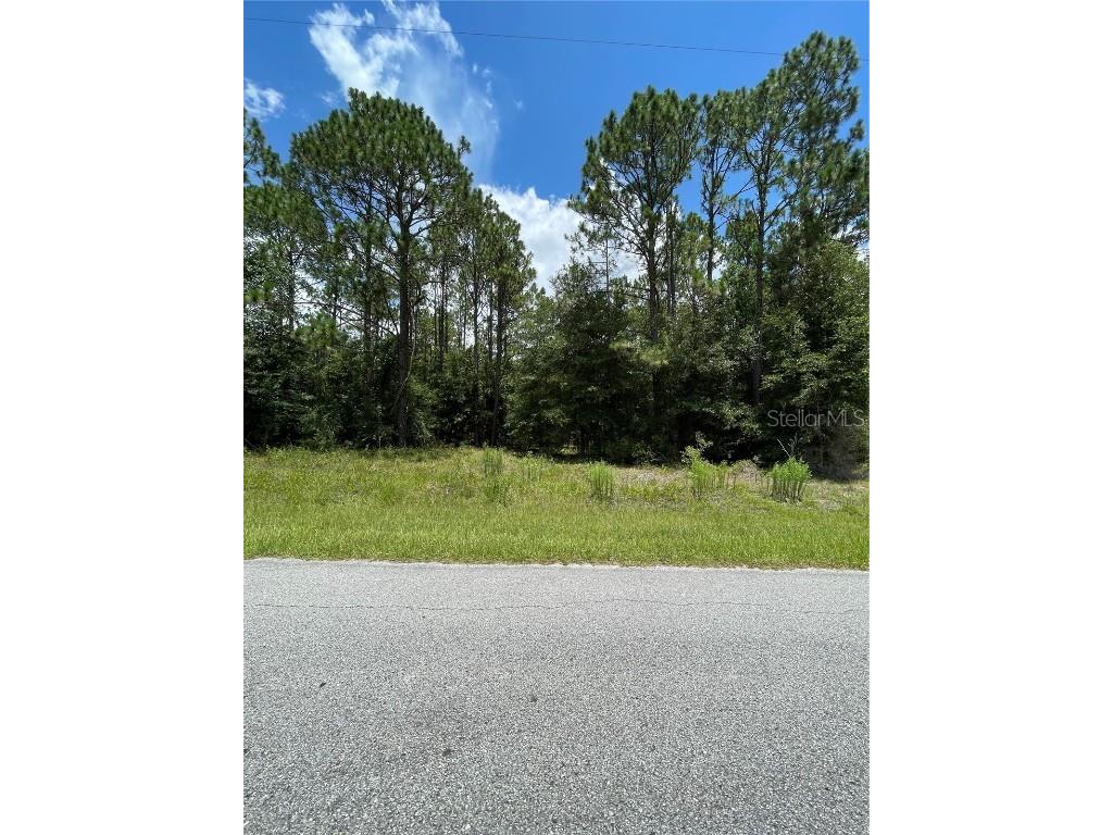 TBD SW 197th Terrace Dunnellon FL 34431 OM669317 image1