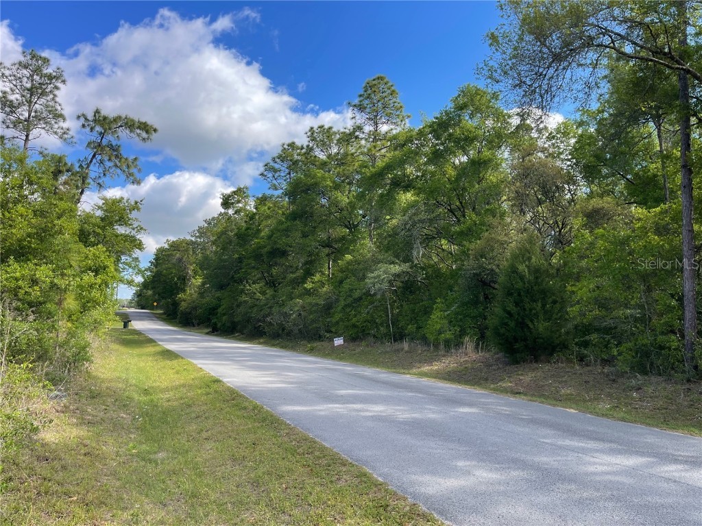 TBD SW 198 Avenue Dunnellon FL 34431 O6294371 image1