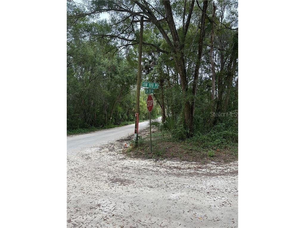 TBD SW 200th Avenue Dunnellon FL 34432 OM668060 image1