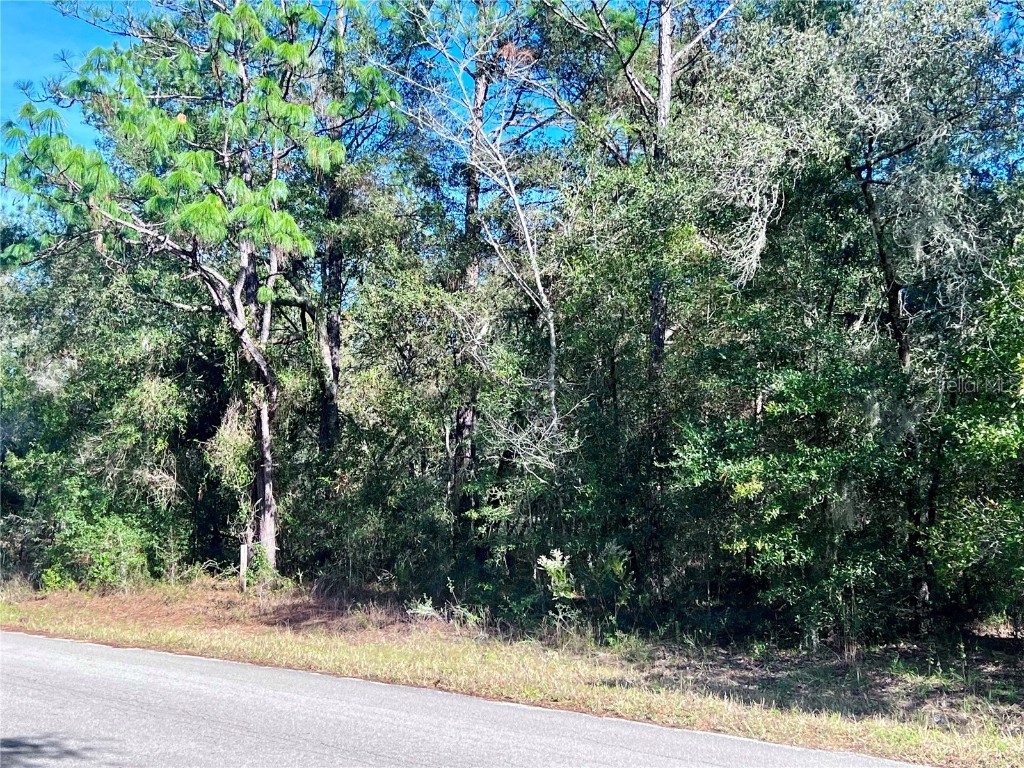 TBD SW 209th Court Road Dunnellon FL 34431 - RAINBOW RIVER G5075887 image1