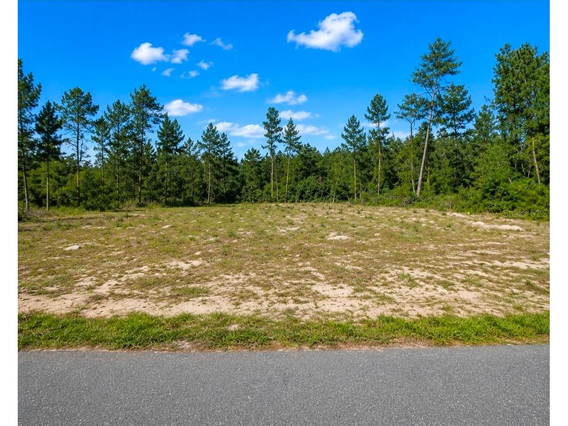 TBD SW 20th Court Road Ocala FL 34473 OM728056 image1