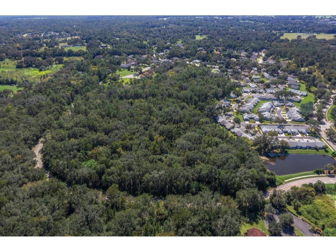 TBD SW 20th Place Ocala FL 34471 A4670301 image7