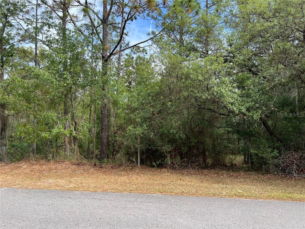 TBD SW 211th Circle Dunnellon FL 34431 OM656650 image1
