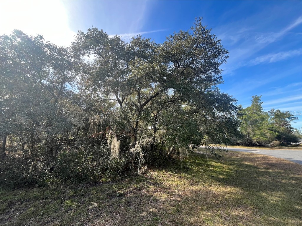 TBD SW 21st Circle Ocala FL 34473 OK223490 image1
