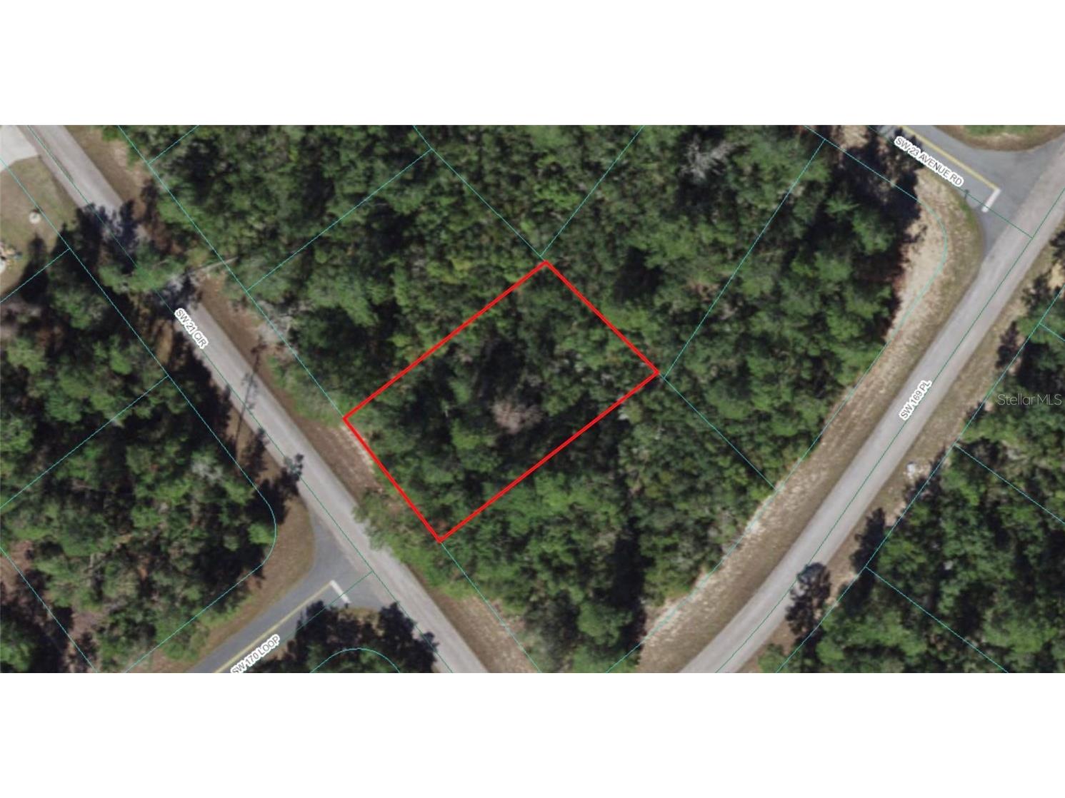 TBD SW 21st Circle Ocala FL 34473 OM673479 image1