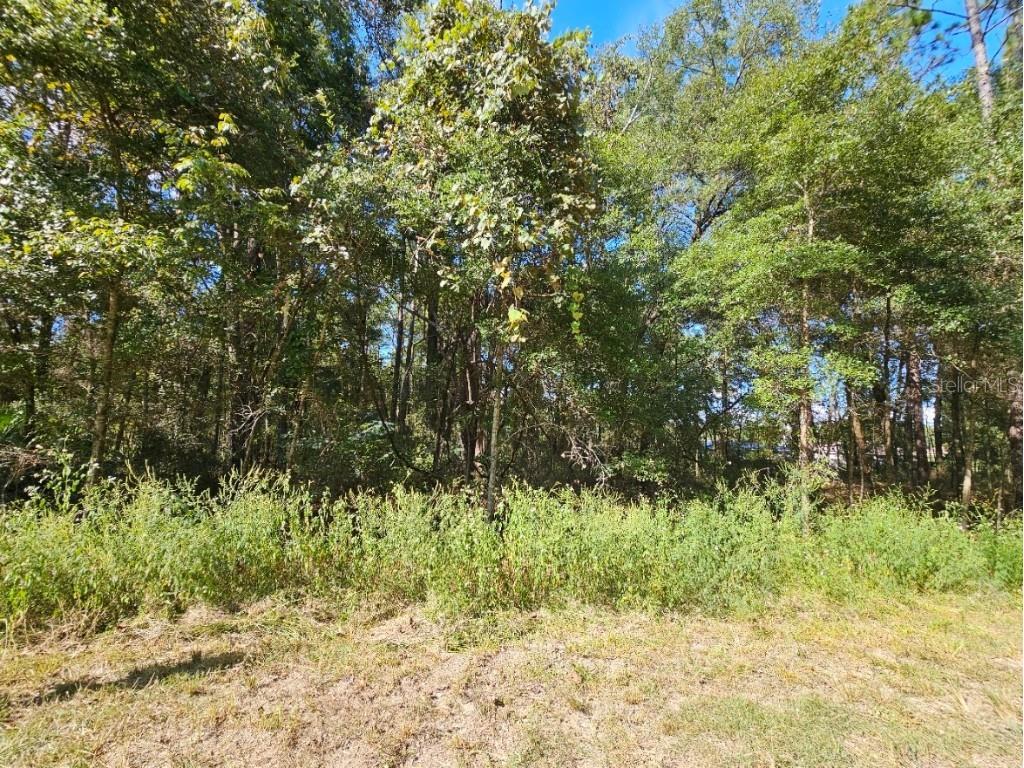 TBD SW 21st Place Ocala FL 34481 OM710650 image3